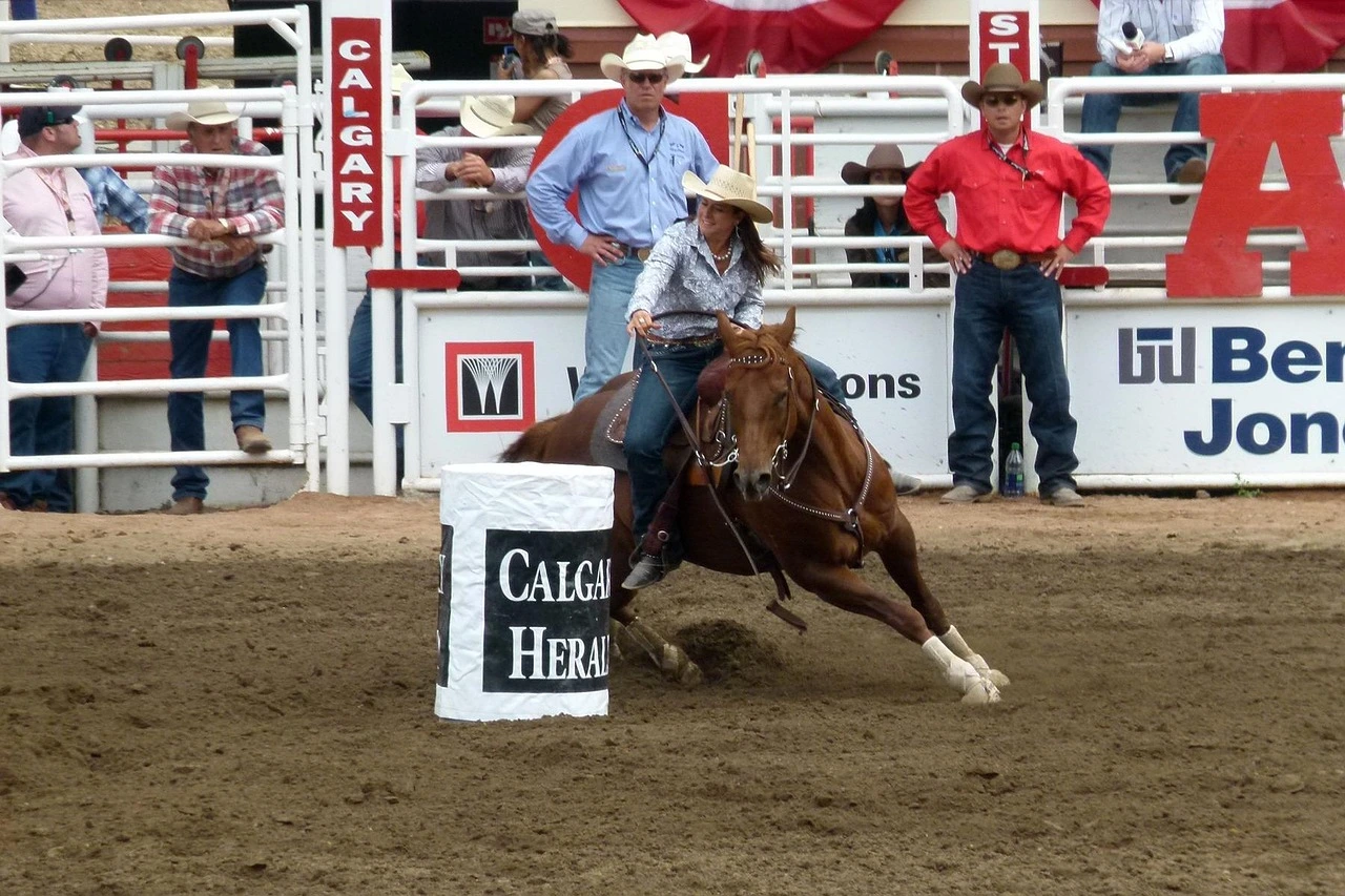 Western rider in cowboy hat and brown horse making a sharp turn around a barrel during competition