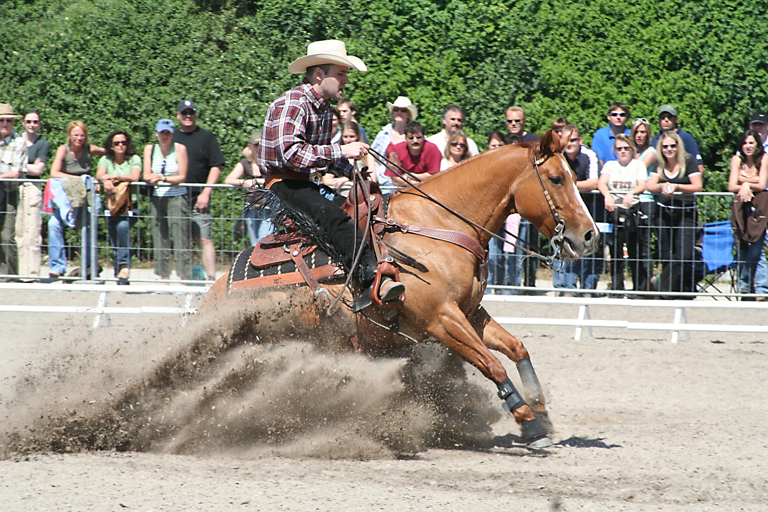 Reining: The Dressage of the West