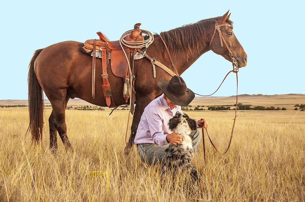 Brown Western horse, woman kneeling petting a dog, all relaxed in a green plain at sunset