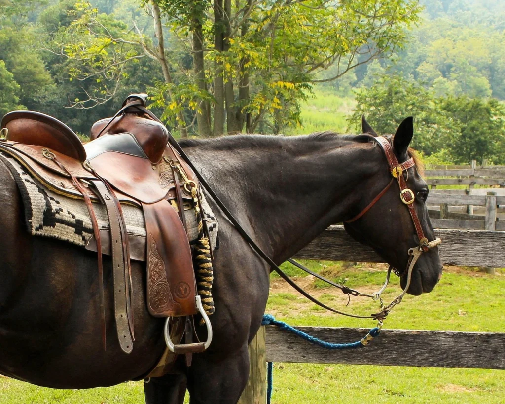 Side view of a dark bay horse wearing a leather Western saddle, a patterned saddle pad, and a decorated bridle.