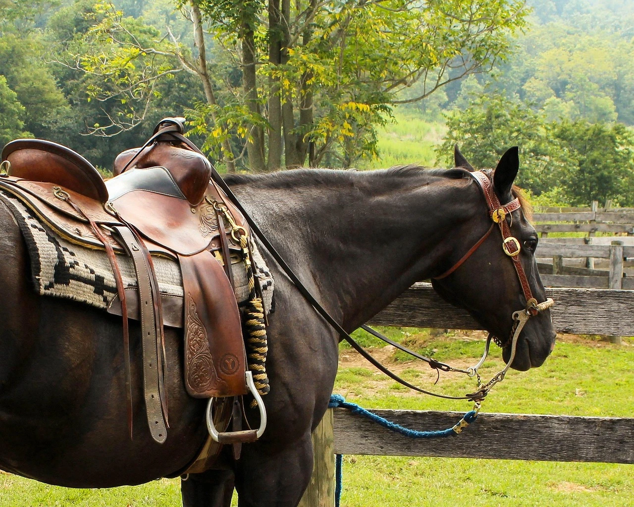 Side view of a dark bay horse wearing a leather Western saddle, a patterned saddle pad, and a decorated bridle.