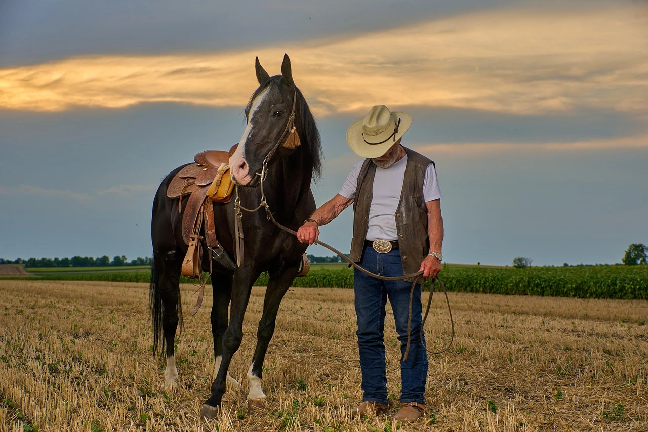 An older man wearing a cowboy hat and cowboy boots, gently holds the reins of a black horse standing in a harvested field at sunset.