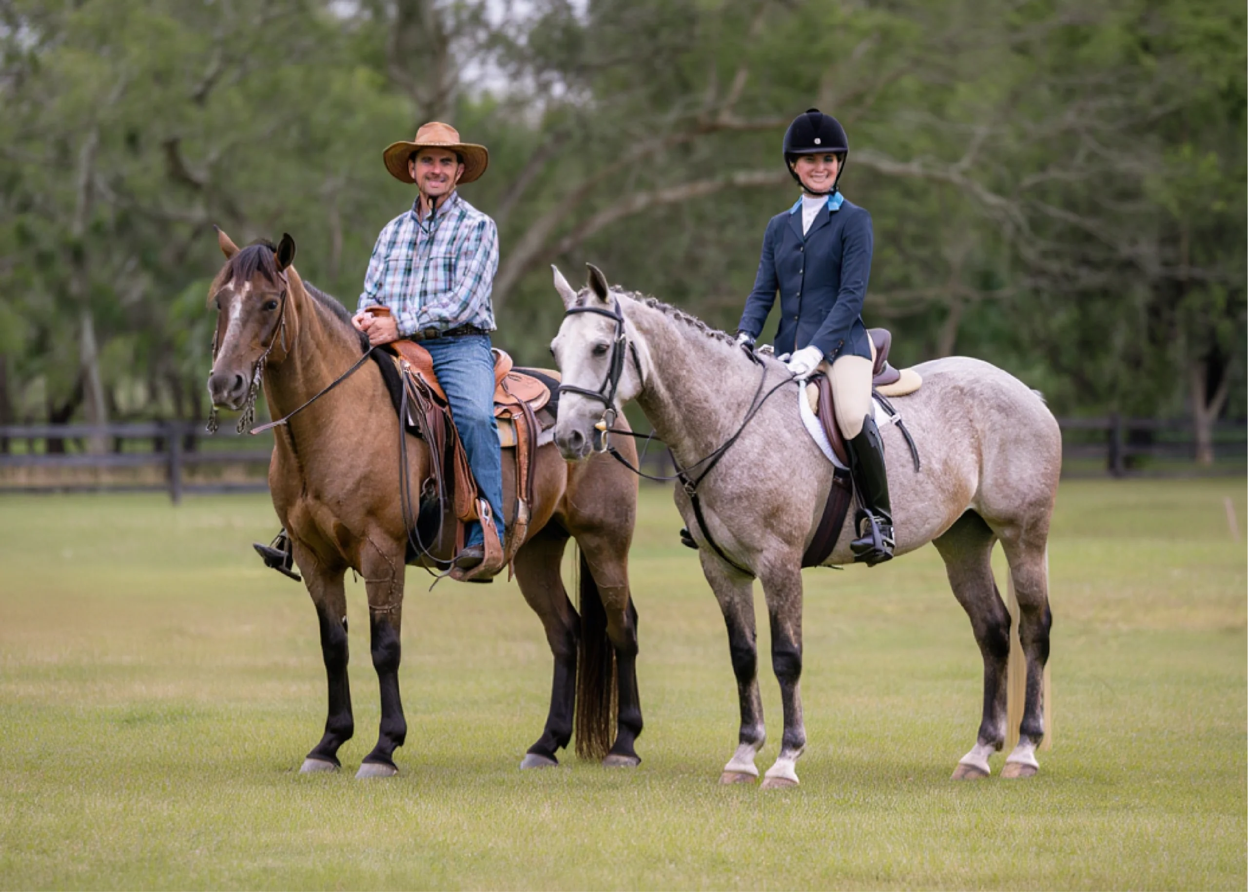 English vs Western Riding: A Side-by-Side Comparison