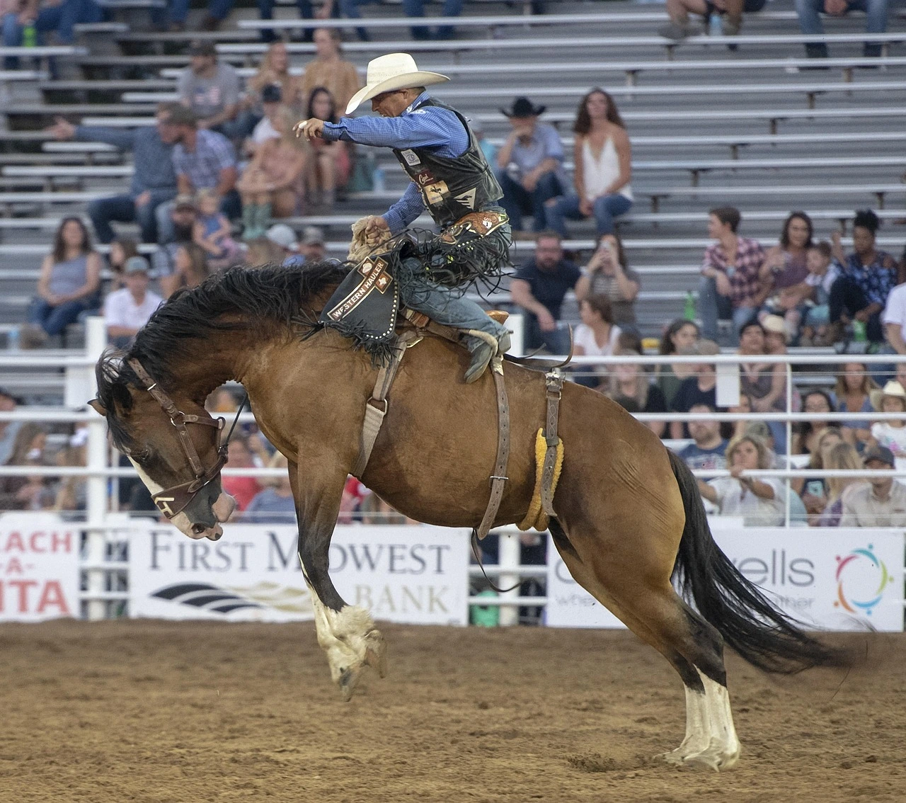 A rodeo rider staying balanced on a bucking horse in front of a large crowd.