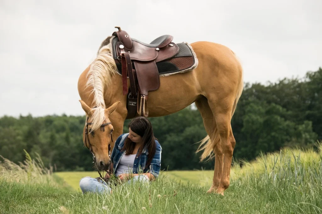 A palomino horse wearing complete western tack, including saddle and bridle, stands peacefully in a grassy field while a woman rests nearby.