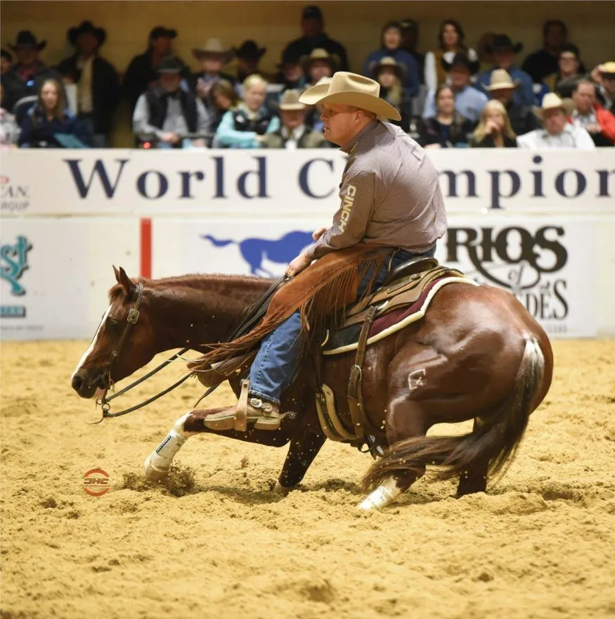 A Western horse and rider performing a sharp turn in a cutting competition.