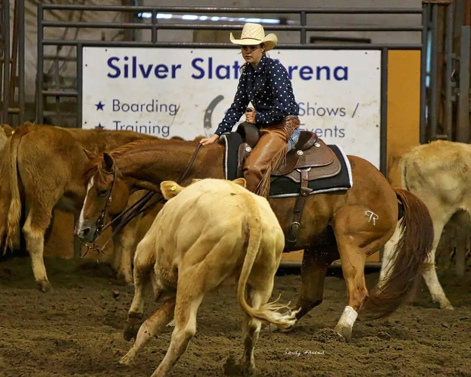 A Western cowgirl guiding her horse to cut a calf from a herd.